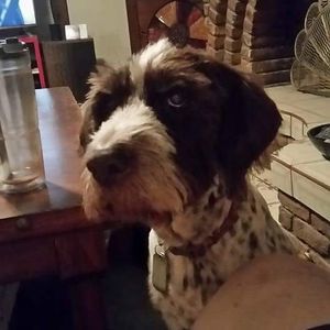 Meet your Posher, Rock